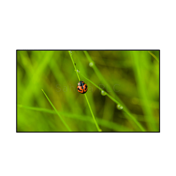 Clevertouch 55" CM Pro CTL-55DS94KV2 Commercial Display