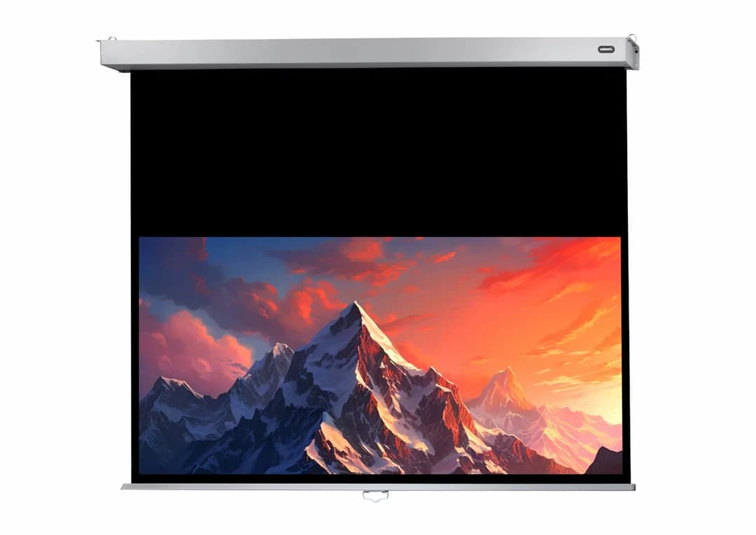 Celexon 1090810 screen Manual Professional Plus 160 x 100 cm